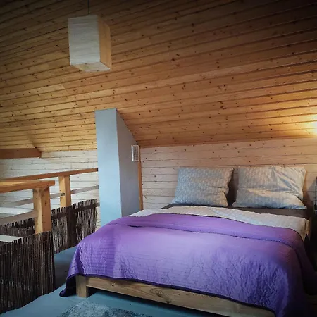 Tatil Evi Scandinavian-style House Borkowo (Kartuzy)