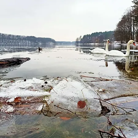 Scandinavian-style House *