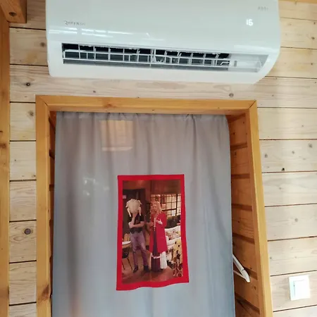 Scandinavian-style House