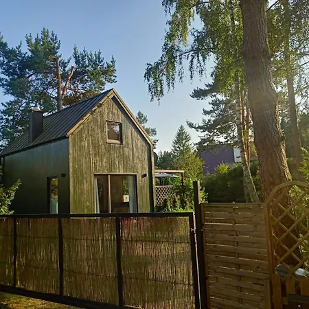 Scandinavian-style House *