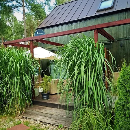 Scandinavian-style House *