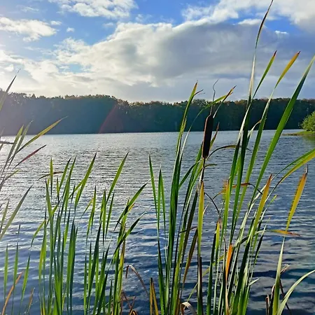 Scandinavian-style House