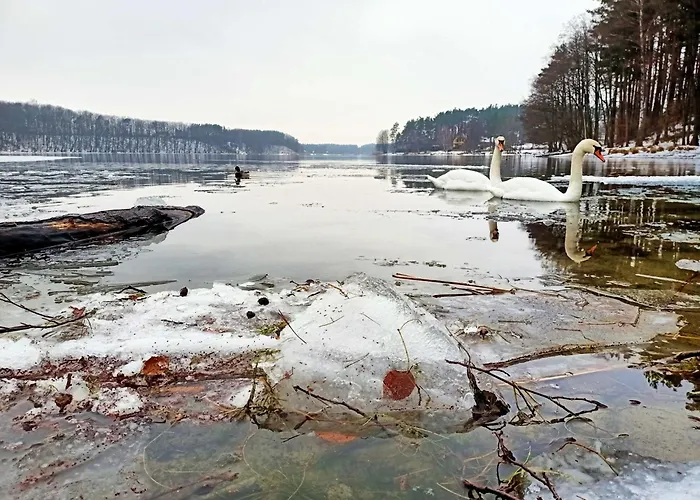 Scandinavian-style House *