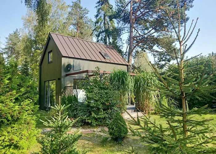 Scandinavian-style House * Borkowo (Kartuzy)