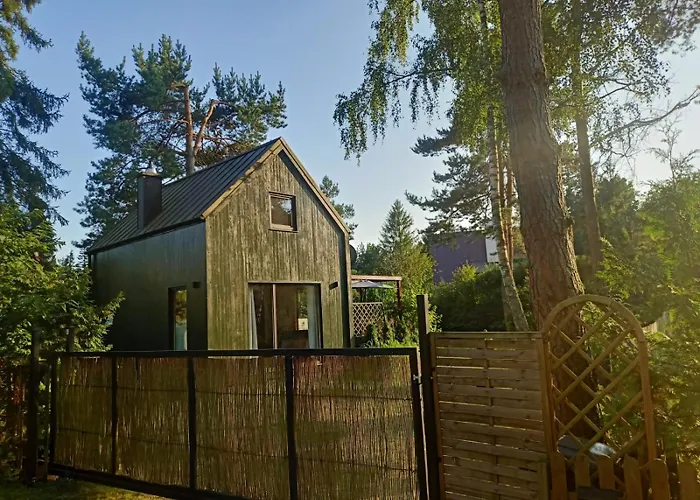 Scandinavian-style House *