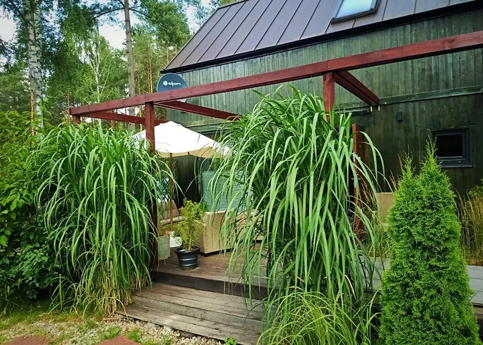 Scandinavian-style House *