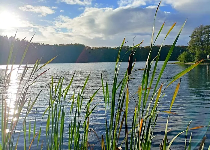 Scandinavian-style House